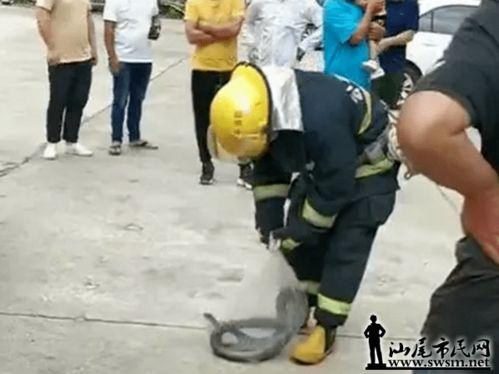 公平镇最新爆料,揭秘神秘事件背后的真相  第2张