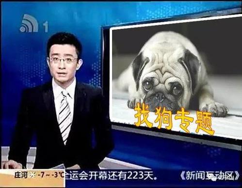 呼死狗今日爆料,揭秘网络骚扰黑幕 第2张 呼死狗今日爆料,揭秘网络骚扰黑幕 第2张